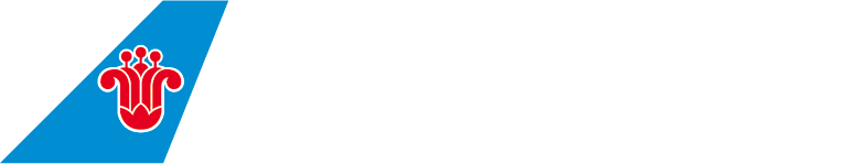 중국남방항공